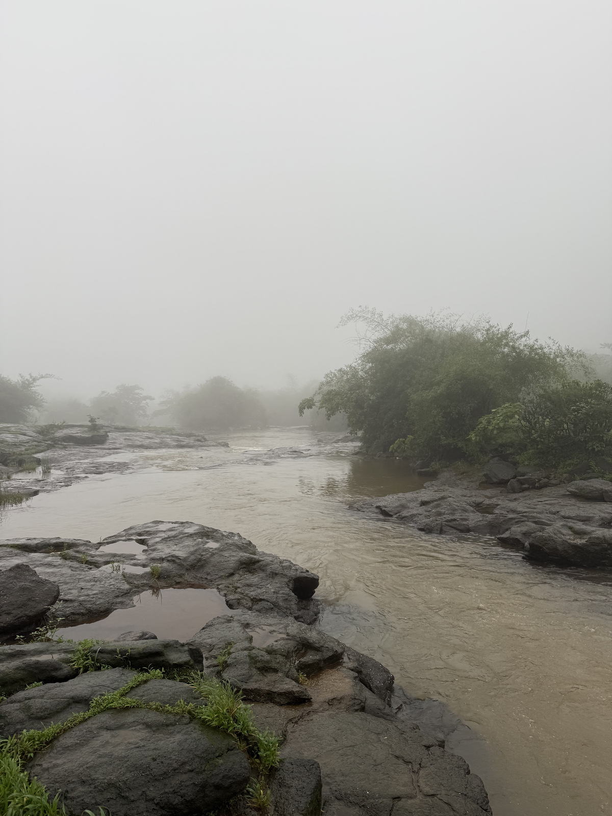 Stream joining the pawna river