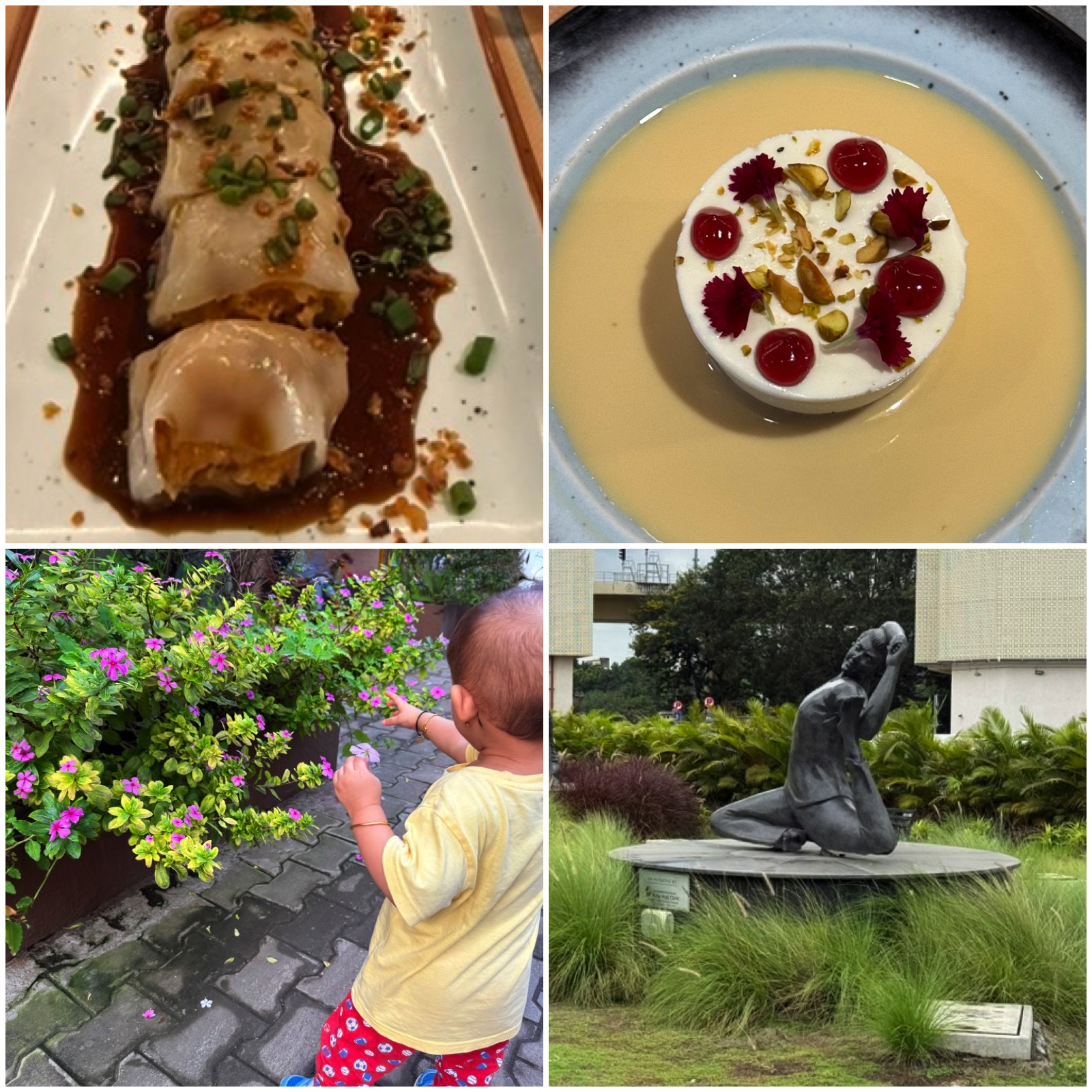 photo collage of choice events from the trip