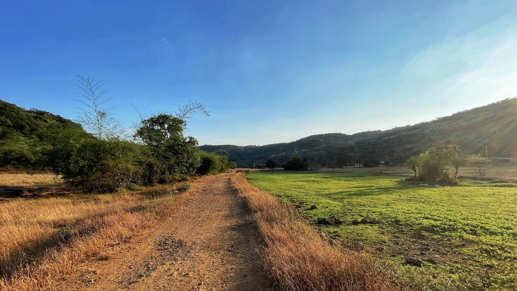 Road leading to the Pavana River, a nearby rice farm plot